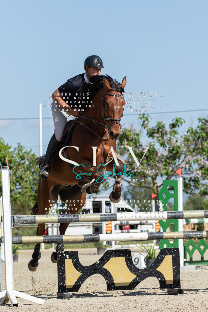 IMG_1059 | s-jay-photography - Realisiert mit Pictrs.com