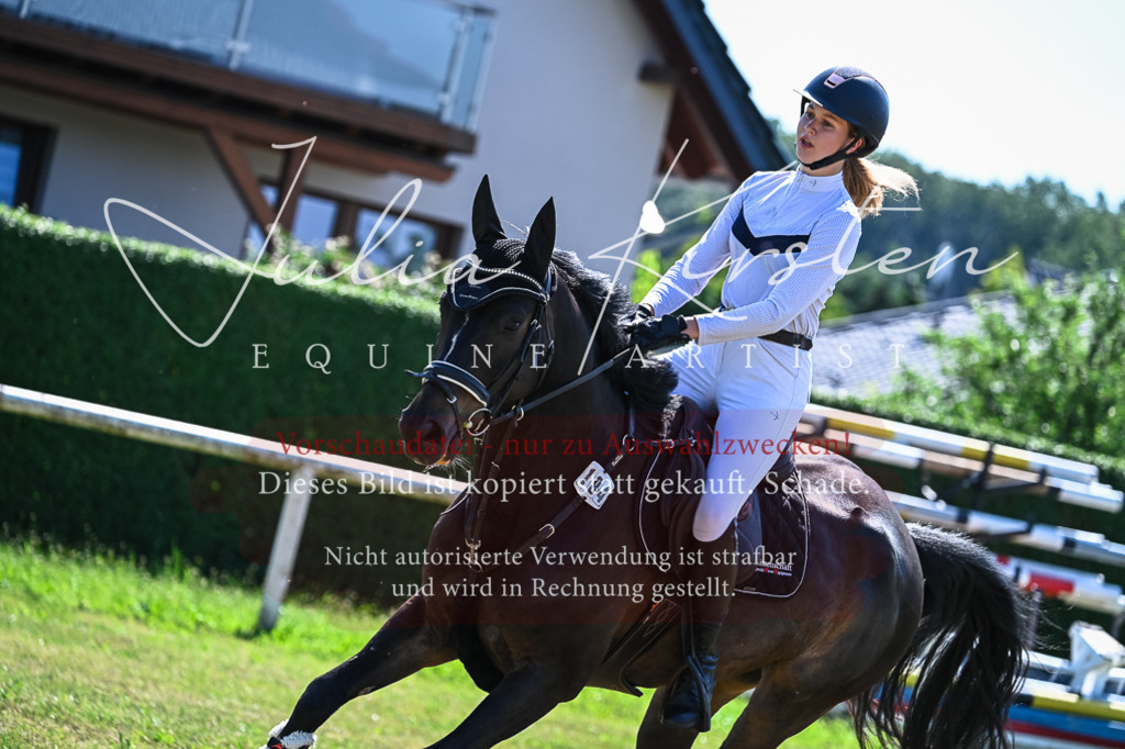 DSC_1559 | Pferde- und Turnierfotografie in Westsachsen. Pferdeportraits, Auftragszeichnungen und intuitive Kunst.