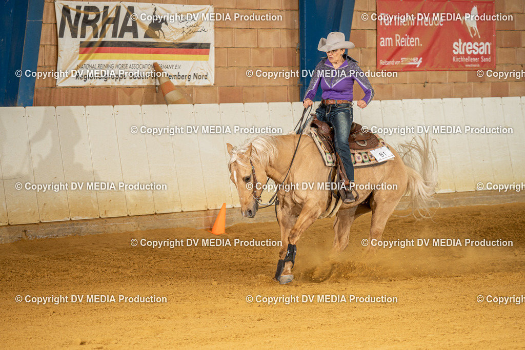 MIT01389 | dv-media-shop - Realisiert mit Pictrs.com