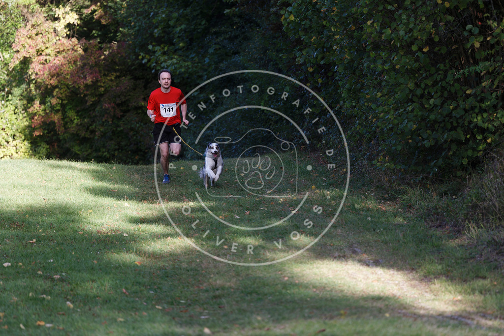 0L8A5096 | Hundefotografie, Tierfotograf, Pfotenfotografie, Fotoshooting Hund, Hunde Portrait, Hundesport, Hundeportraits, Heideshooting, Hunde, Sportfotograf, Hundefotograf, Turnierhundsport, THS,  - Realisiert mit Pictrs.com