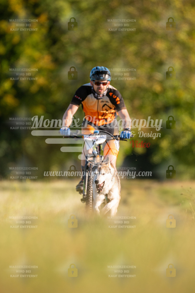 CDLBDB_15_10_2023_Dimanche-196 | PayLife