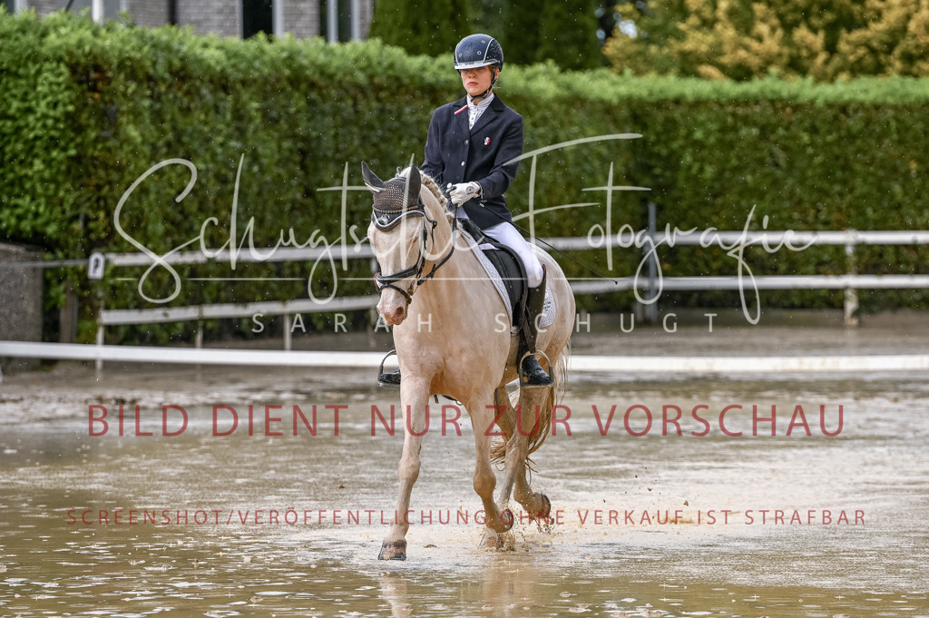 Schugtsche-Aluta25-54.Dressurprf.L1Trense-129 | Schugtsche Fotografie - Realisiert mit Pictrs.com