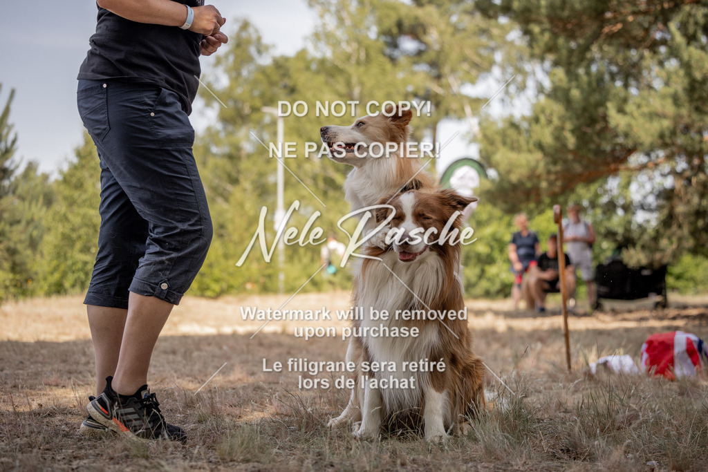 nelerasche_soDD2_172 | nelerasche