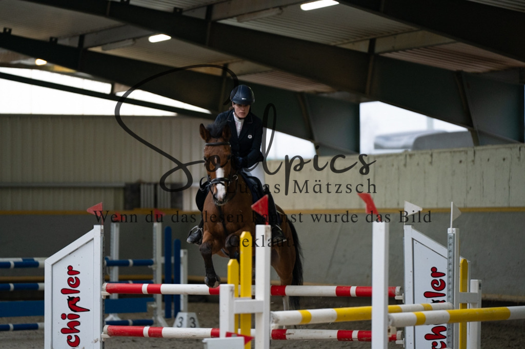 A7V08822 | Pferdefotograf