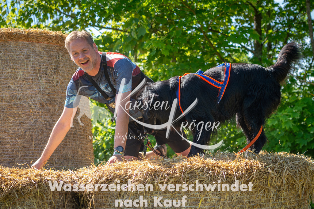 1035STR_5445 | kk-dogfotos