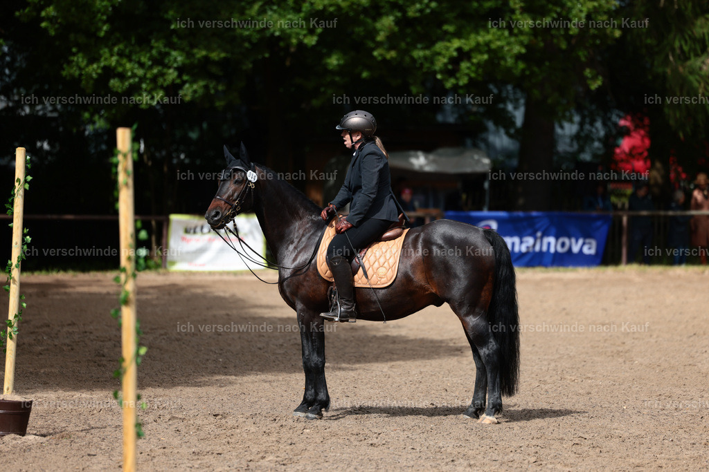 KlasseL_Stoibphotography_CAM23407.JPG | working equitationturnier fotograf videograf stoibphotography marixx film working equitation deutschland reitsport turnierfotografie eventfotografie equestrian events