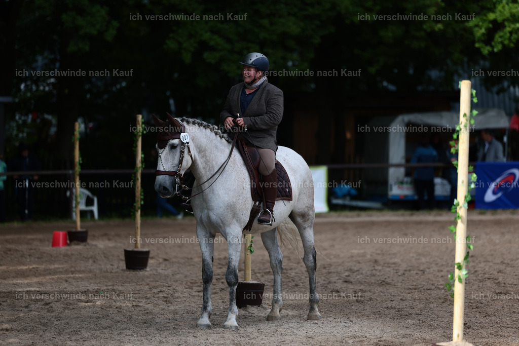 KlasseL_Stoibphotography_CAM23963.JPG | working equitationturnier fotograf videograf stoibphotography marixx film working equitation deutschland reitsport turnierfotografie eventfotografie equestrian events