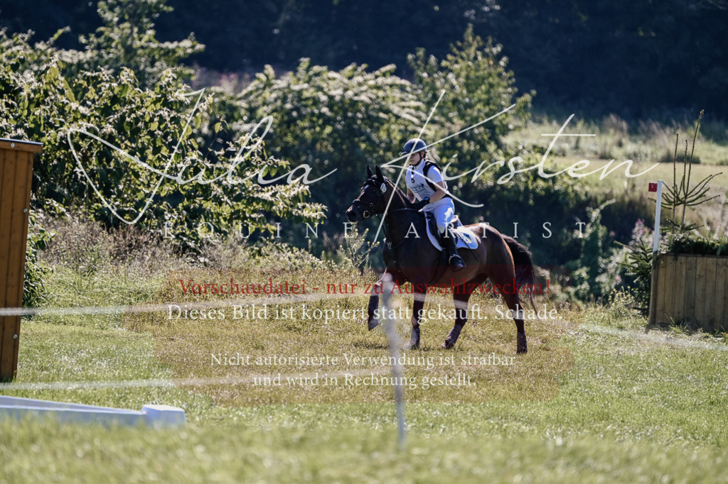 DSC_1489 | Pferde- und Turnierfotografie in Westsachsen. Pferdeportraits, Auftragszeichnungen und intuitive Kunst.