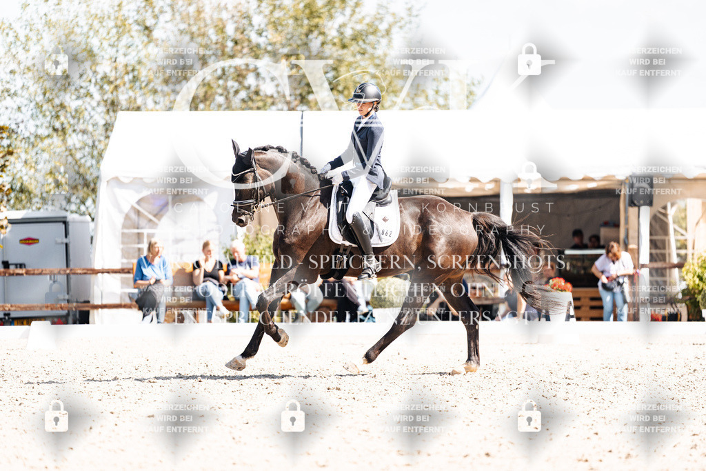 CK903441 | Turnierfotografie Pferdefotografie Trier Rheinland-Pfalz Pferdesport Reitsport Tierfotografie Sportfotografie Pferdevideo Pferdevideografie Equestrianvideography equestrianphotography  - Realisiert mit Pictrs.com