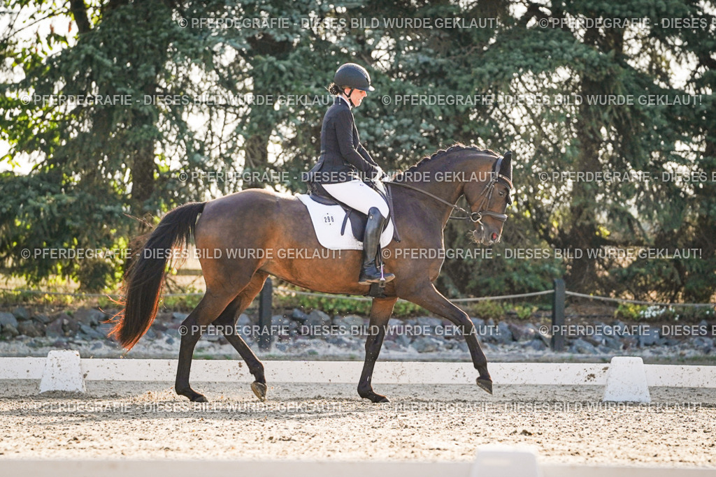 DSC08236 | Pferdegrafie