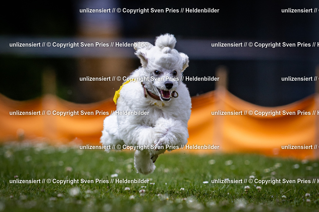 Sven Pries | 2025-05-29 - Pudelrennen KA-Durlach - Realisiert mit Pictrs.com