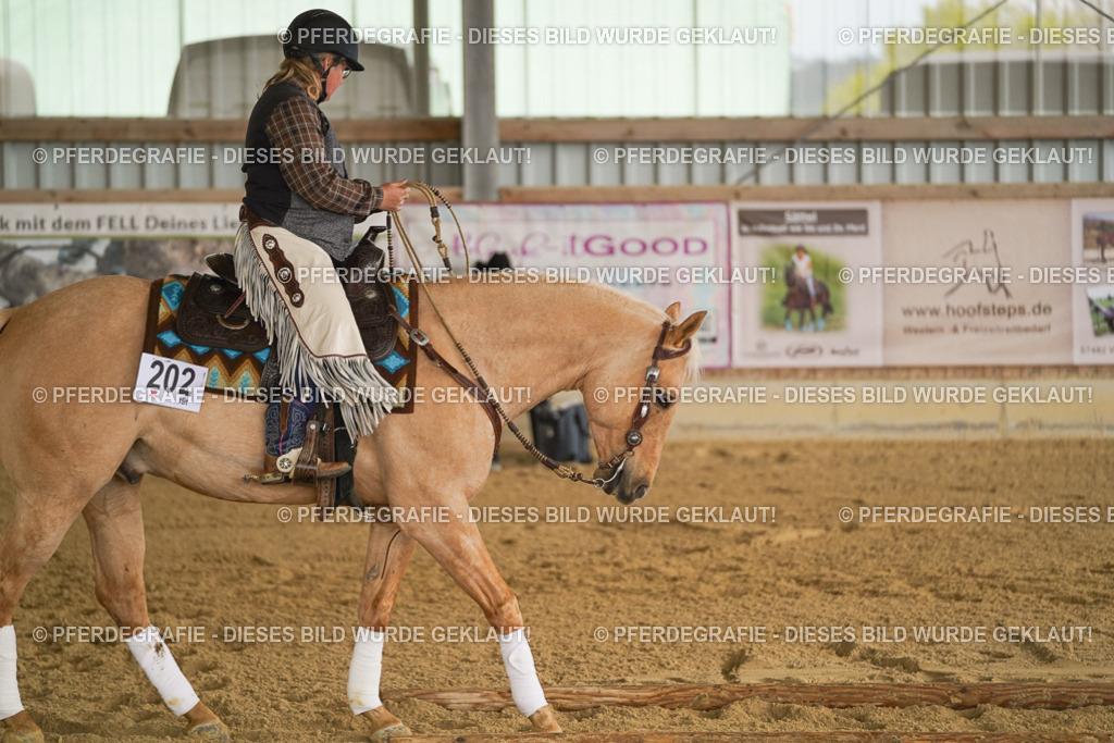 DSC04896 | Pferdegrafie