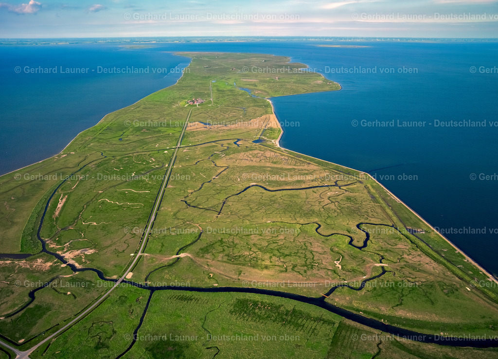 3091085 | Nordmarsch-Langeness, Nationalpark Schleswig-Holsteinisches Wattenmeer