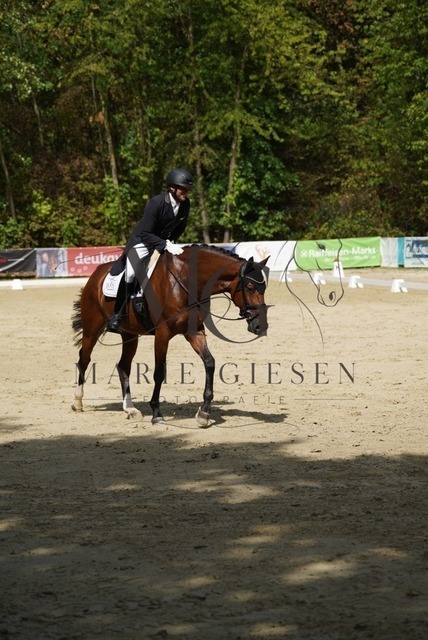 VAN02236 | Marie Giesen Fotografie - Realisiert mit Pictrs.com