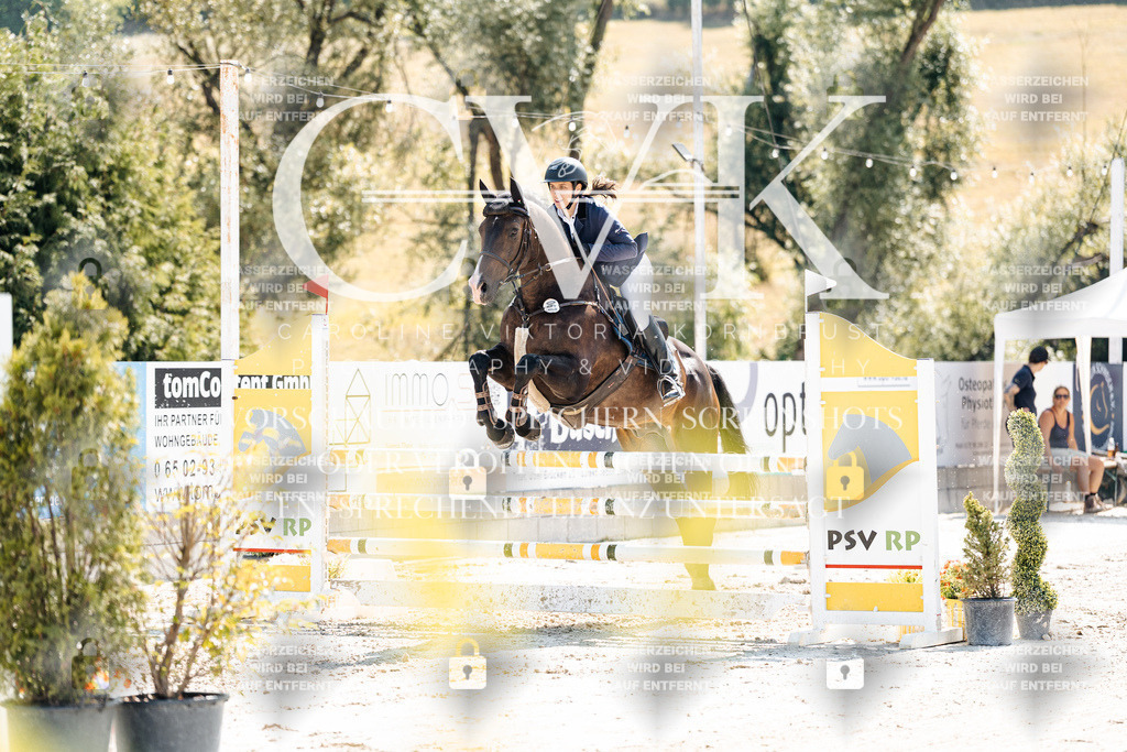 CK908698 | Turnierfotografie Pferdefotografie Trier Rheinland-Pfalz Pferdesport Reitsport Tierfotografie Sportfotografie Pferdevideo Pferdevideografie Equestrianvideography equestrianphotography  - Realisiert mit Pictrs.com