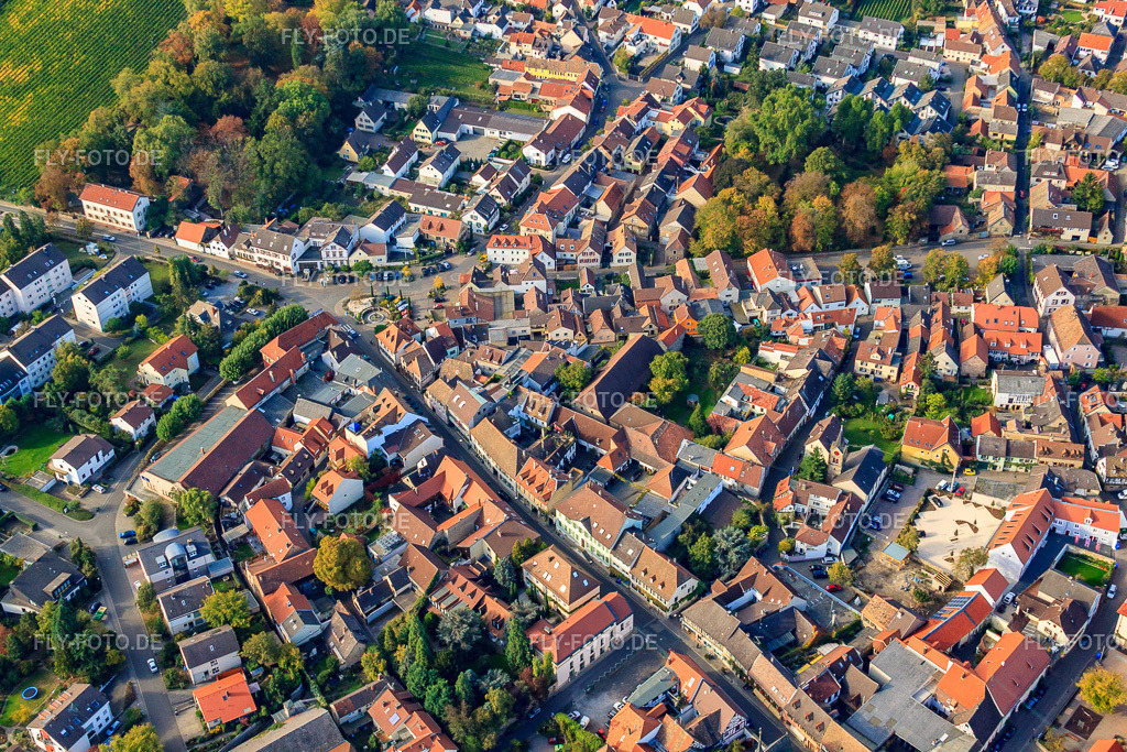 Winzerstadt und Königsgarten | Luftbild: Winzerstadt und Königsgarten in Deidesheim im Bundesland Rheinland-Pfalz in Deutschland. Foto: IMG_22005.jpg vom 15.10.2009 durch Werner Riehm/FLY-FOTO.de - Realisiert mit Pictrs.com