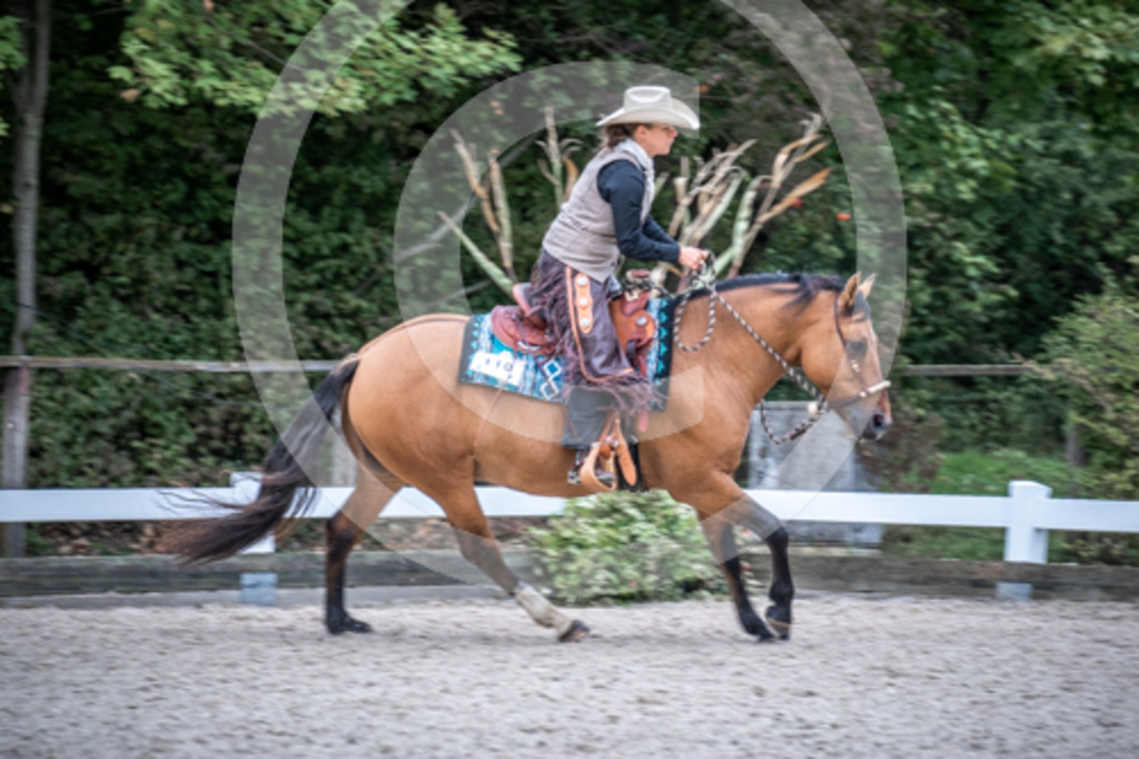 HEB07297 | BS-foto