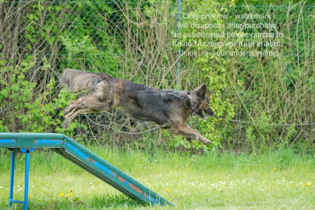 Sa_Laeufe_VK1und2_06-51 | stephaniefillaphotographie - Realisiert mit Pictrs.com