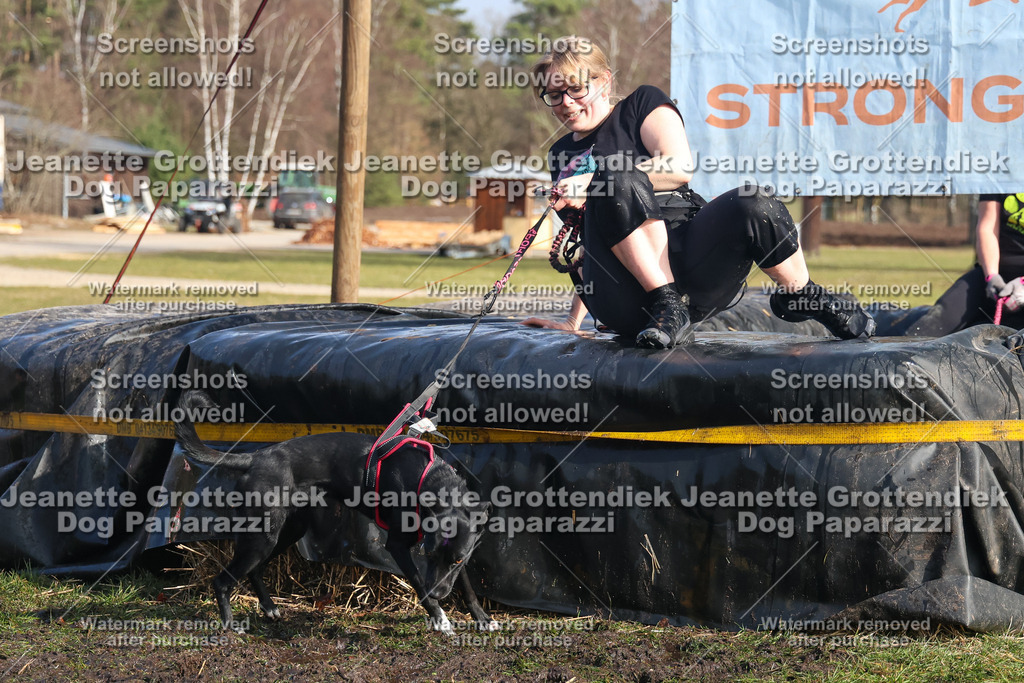 Dog Paparazzi - Strongdog North Mrz26-2422 | Dog Paparazzi Jeanette Grottendiek Fotografie & Videografie - Realisiert mit Pictrs.com
