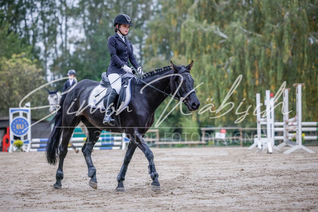 20251012-_3LI2603 | Tierfotografie Pferde, Hunde, Katzen, Haustiere.
Turnierfotografie Reitturniere, Reiten, Springreiten, Dressur in Hanau, dem Main-Kinzig-Kreis und dem Rhein-Main- Gebiet um Frankfurt