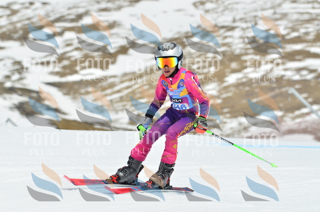 _ELE2625 | holidayphoto