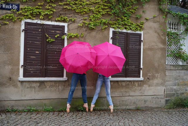 Tänzerinnen  | Fotografie Photography Dresden Photoshooting  Fotoshooting Fotografin Dresdencity Bilder  Foto Dresdenvideos Kalender Postkarten Bilderdownload Portrait Hochzeitsfotografie Familienfotos Bewerbungsbilder Studiofotografie Fotograf Dresdenbilder Business - Realisiert mit Pictrs.com