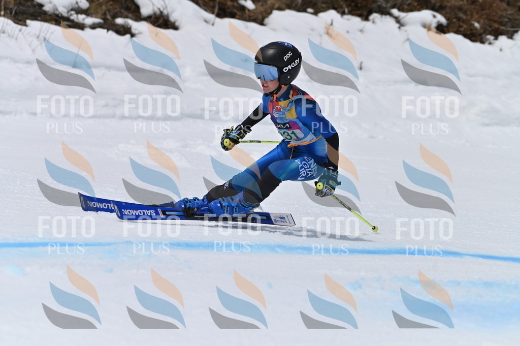 BGV_4585 | holidayphoto