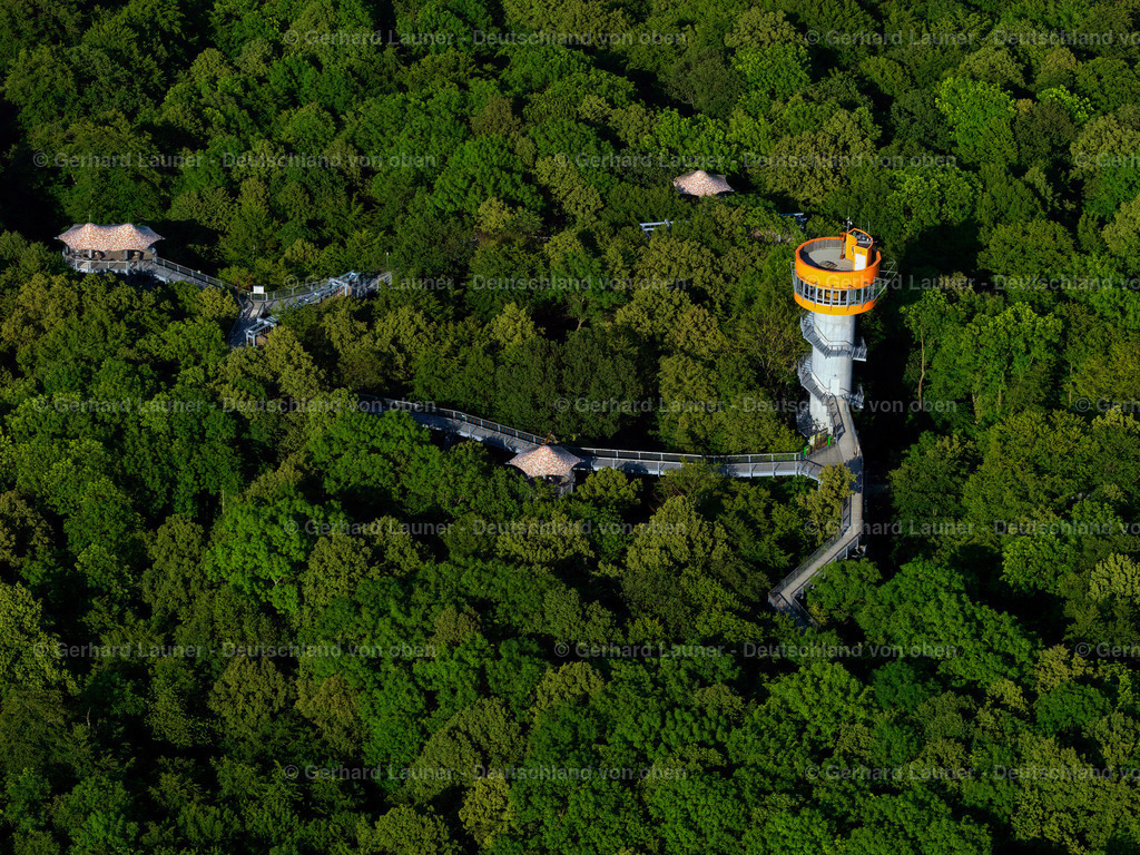 3204406 | Baumkronenpfad Hainich Nationalpark