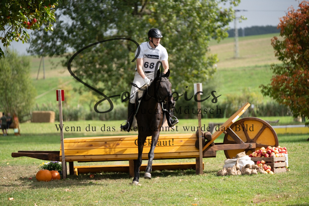 A7V03745 | Pferdefotograf