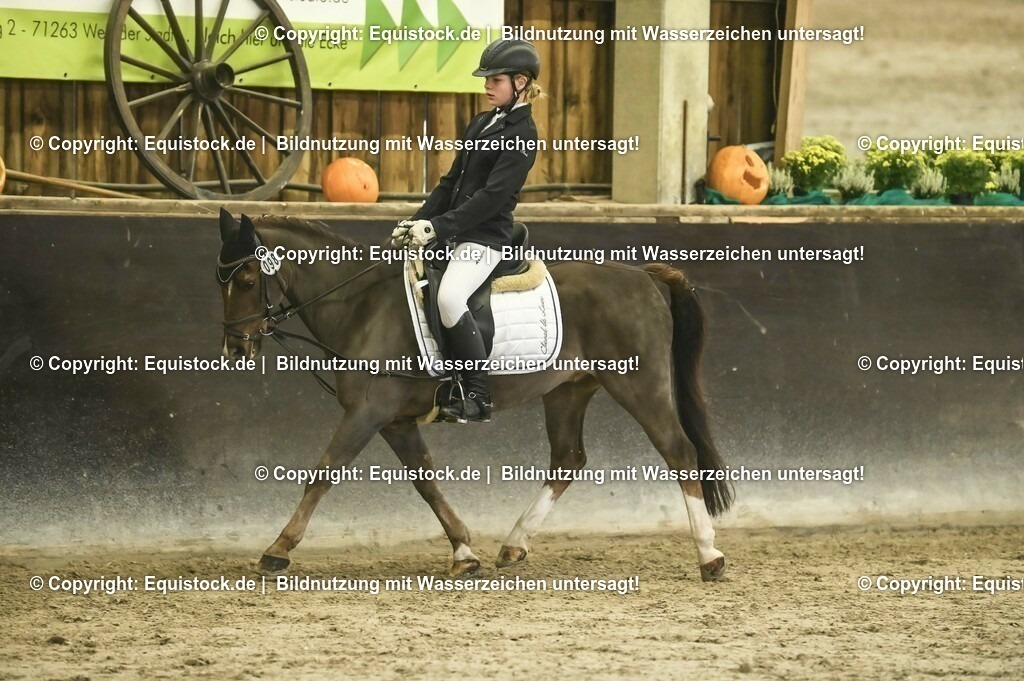 20231029_04_Dressur-WB_0359 | Foto: Thomas Hartig