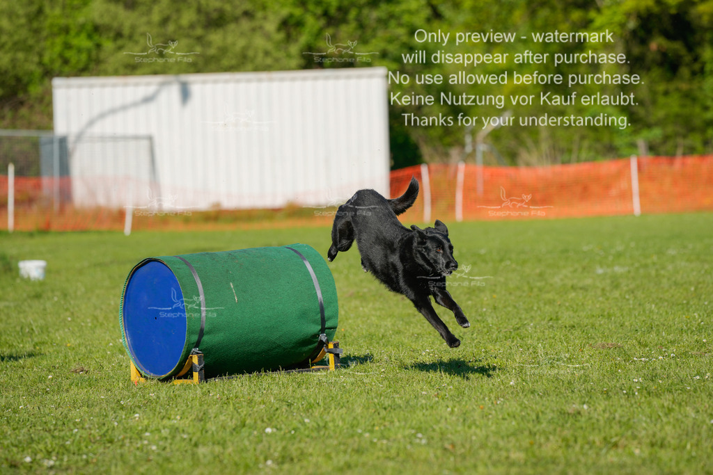 Sa_CSC-523 | stephaniefillaphotographie - Realisiert mit Pictrs.com