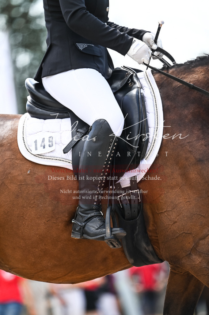 DSC_5682 | Pferde- und Turnierfotografie in Westsachsen. Pferdeportraits, Auftragszeichnungen und intuitive Kunst.