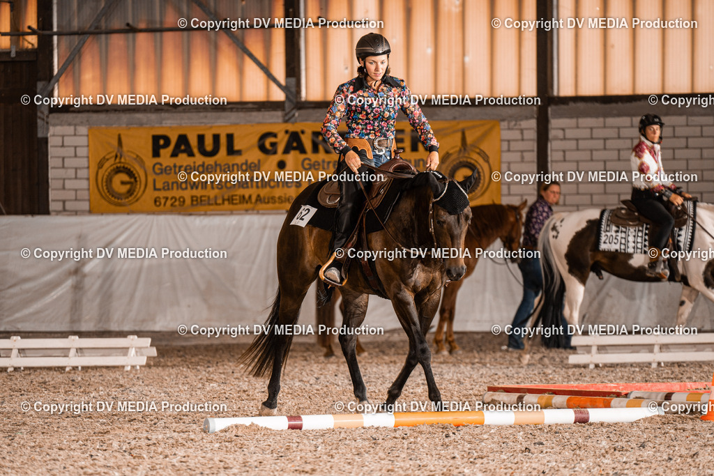 ZH200629 | dv-media-shop - Realisiert mit Pictrs.com