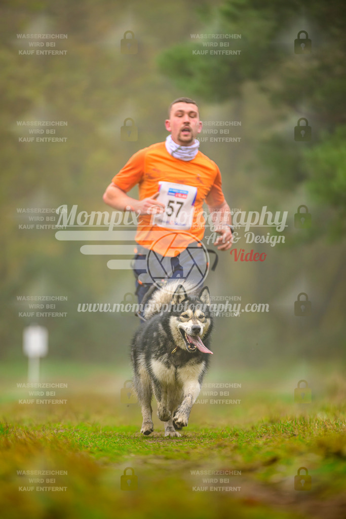 MompixPhotography_Bischwiller2025_Canicross-91 | mompixphotography