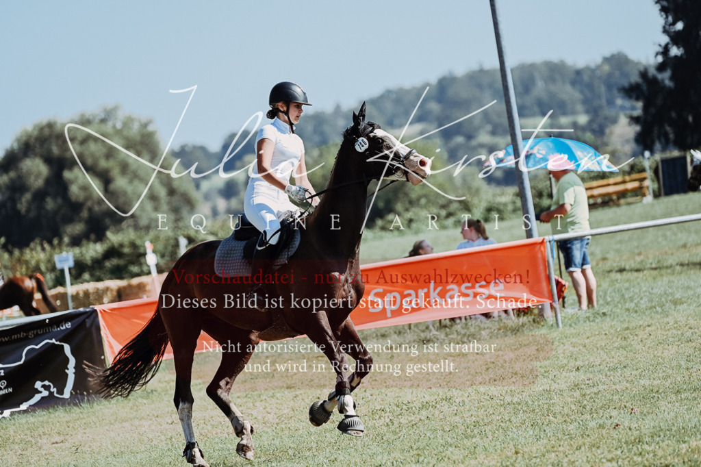 DSC_5903 | Pferde- und Turnierfotografie in Westsachsen. Pferdeportraits, Auftragszeichnungen und intuitive Kunst.