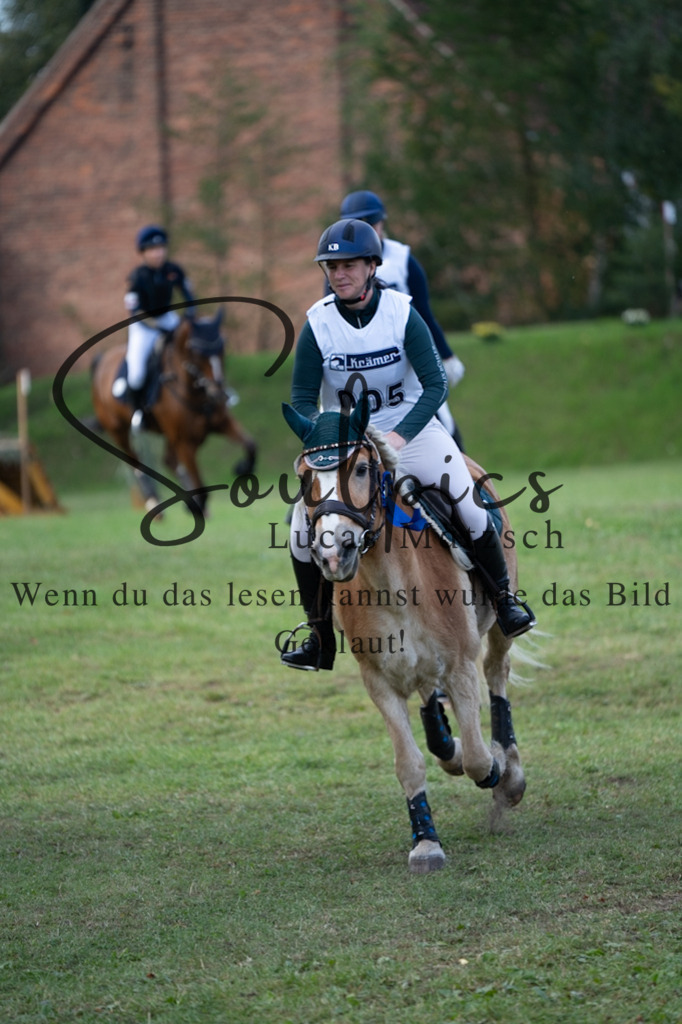 A7V03181 | Turnier/Reitfotograf