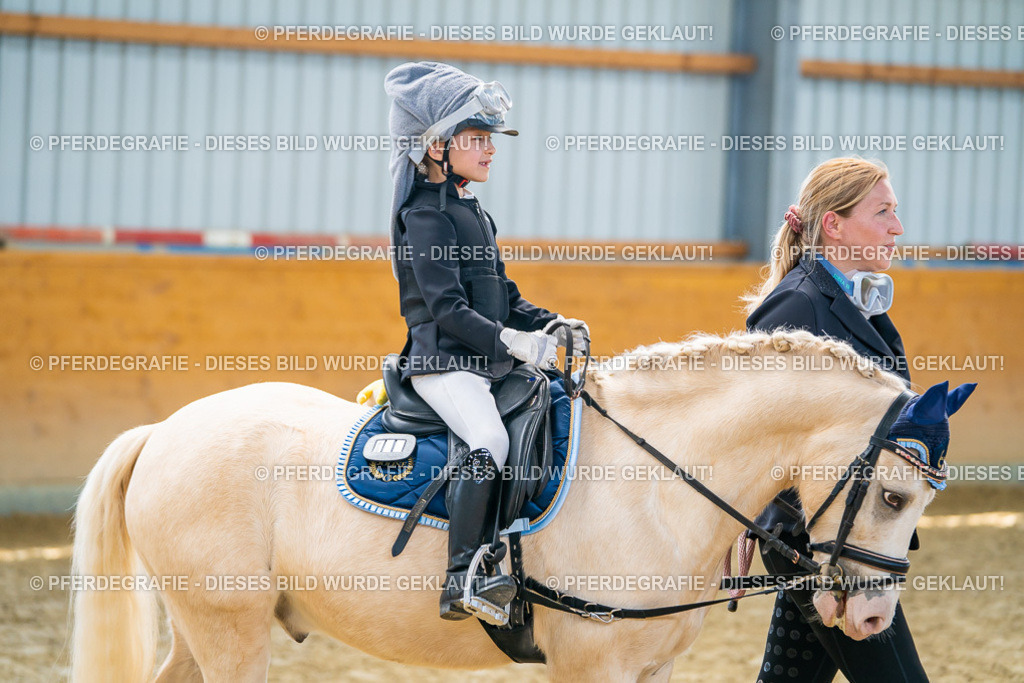 DSC00440 | Pferdegrafie