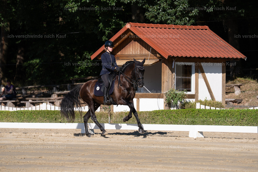 WM_DR_48_sinafilmart_IN04262 | working equitationturnier fotograf videograf stoibphotography marixx film working equitation deutschland reitsport turnierfotografie eventfotografie equestrian events