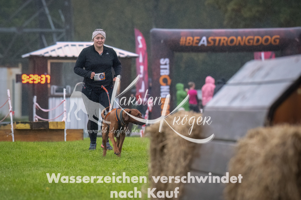 0931-_ZZ94091-Bearbeitet | kk-dogfotos