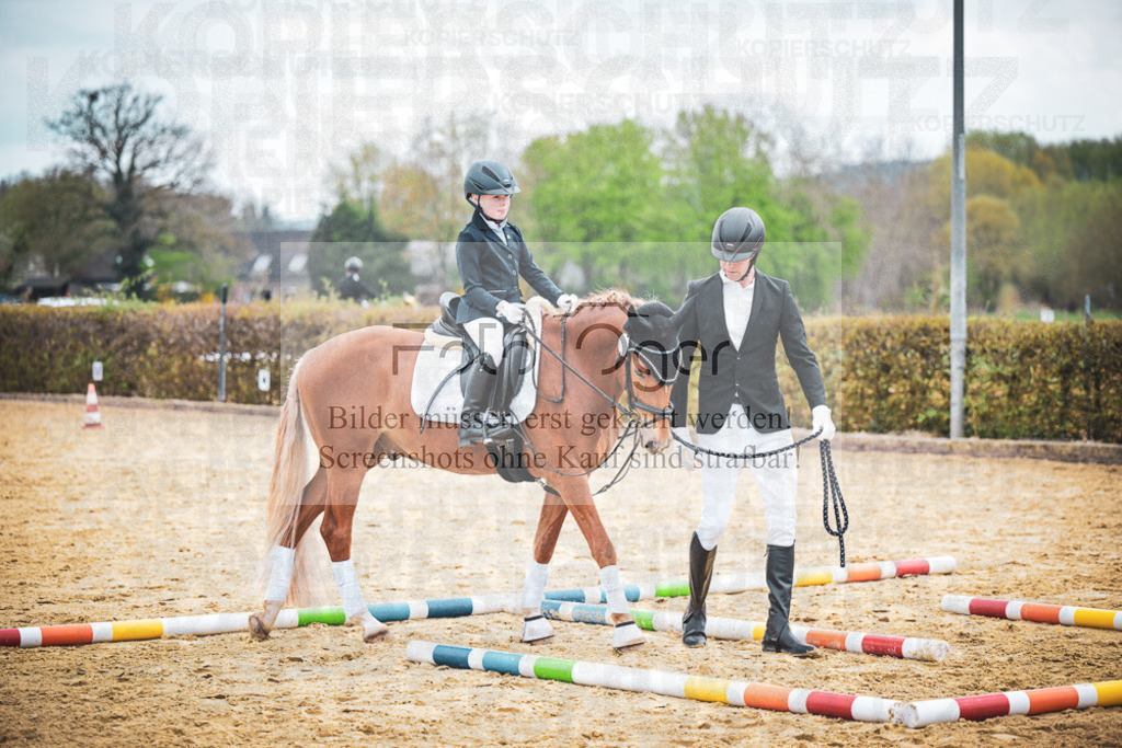 DOS_8764 | Entdecke hochwertige Reitturnierfotos von Foto Oger. Professionell, emotional und authentisch – jetzt Lieblingsmomente im Shop bestellen.Deutschlandweite Turnierfotografie. - Realisiert mit Pictrs.com
