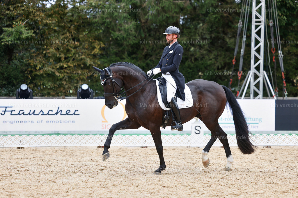 12-047-DRESSUR  S___  -StoibPH-5327 | working equitationturnier fotograf videograf stoibphotography marixx film working equitation deutschland reitsport turnierfotografie eventfotografie equestrian events