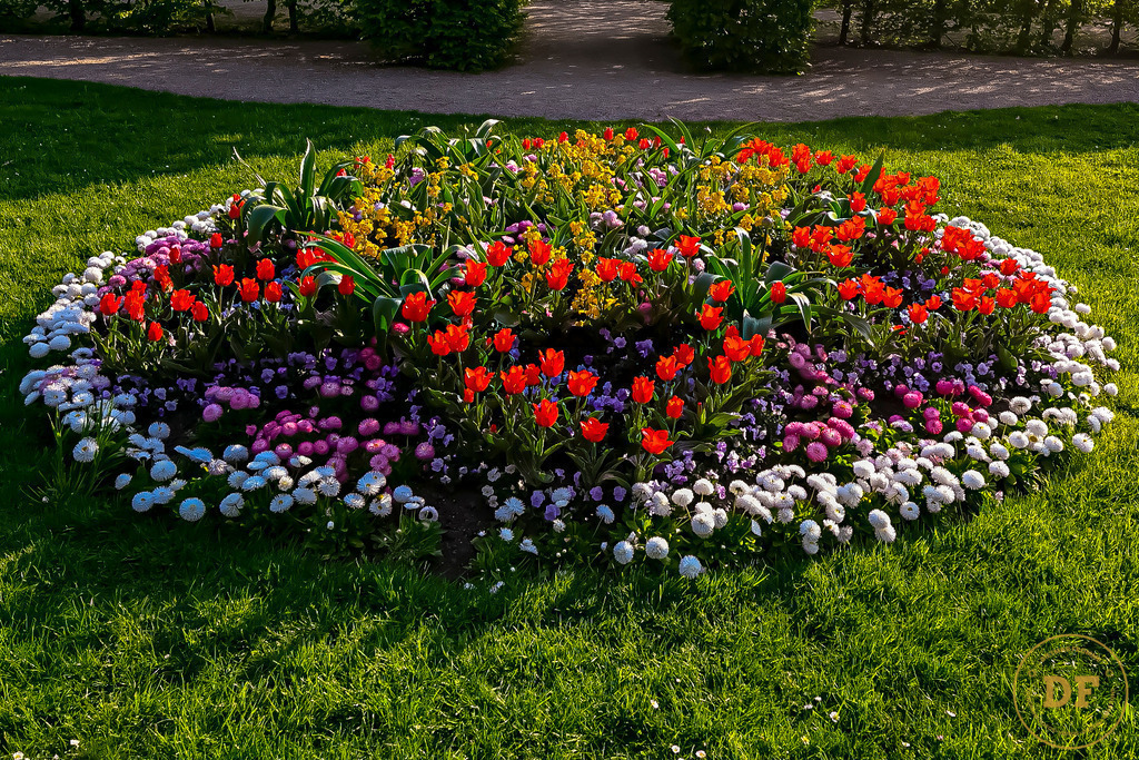 19_DSC5616-2 | Geschenke, Wandbilder und Accessoires mit Motiven aus Dresden und anderen schönen Orten zur Verschönerung Deines zu Hauses und zum verschenken gewünscht? Wähle Deine Lieblingsbild auf dem Produkt Deiner Wahl. 