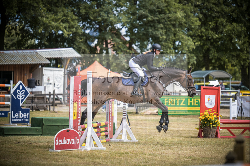 DOS_0272 | Entdecke hochwertige Reitturnierfotos von Foto Oger. Professionell, emotional und authentisch – jetzt Lieblingsmomente im Shop bestellen.Deutschlandweite Turnierfotografie. - Realisiert mit Pictrs.com