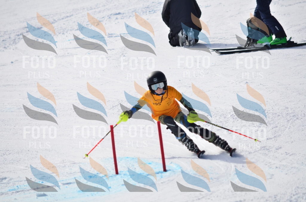 C8719 | holidayphoto