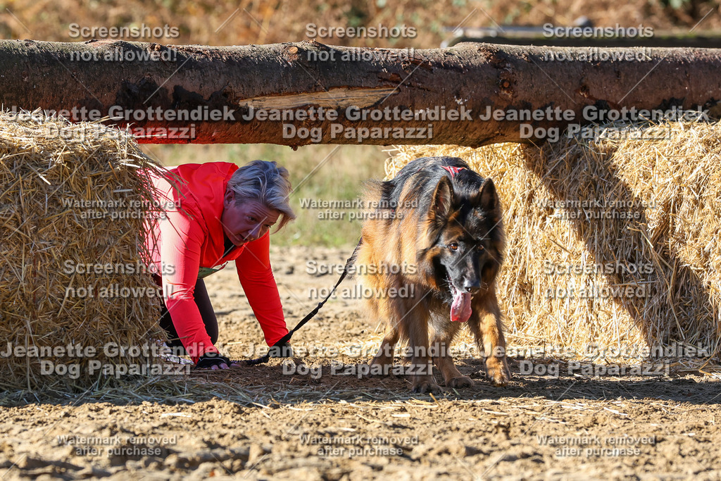 Dog Paparazzi - Strongdog 10-25-2633 | Dog Paparazzi Jeanette Grottendiek Fotografie & Videografie - Realisiert mit Pictrs.com