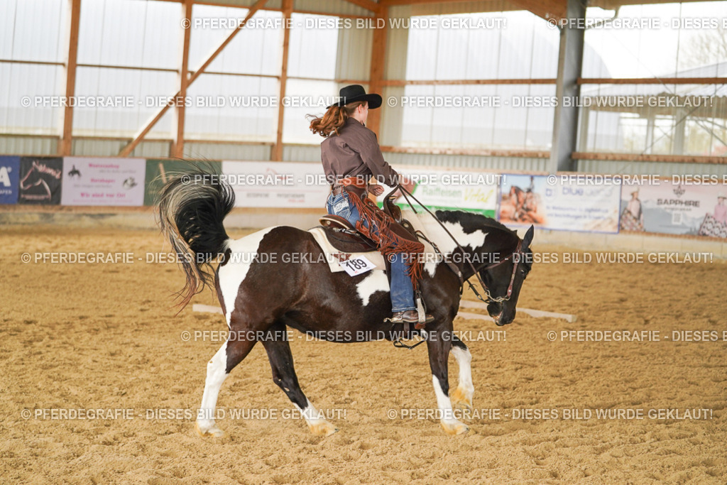 DSC04728 | Pferdegrafie