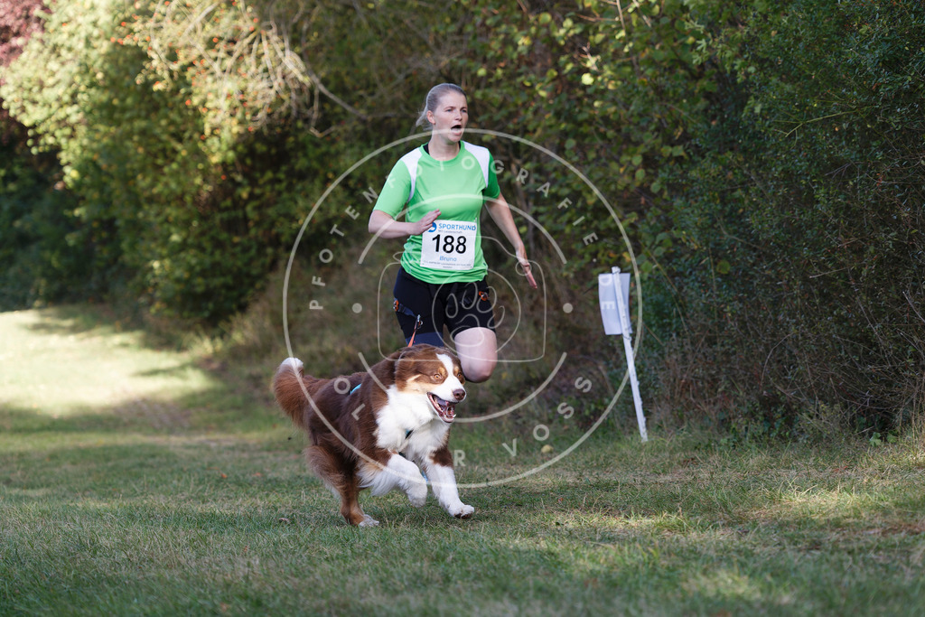 0L8A5765 | Hundefotografie, Tierfotograf, Pfotenfotografie, Fotoshooting Hund, Hunde Portrait, Hundesport, Hundeportraits, Heideshooting, Hunde, Sportfotograf, Hundefotograf, Turnierhundsport, THS,  - Realisiert mit Pictrs.com