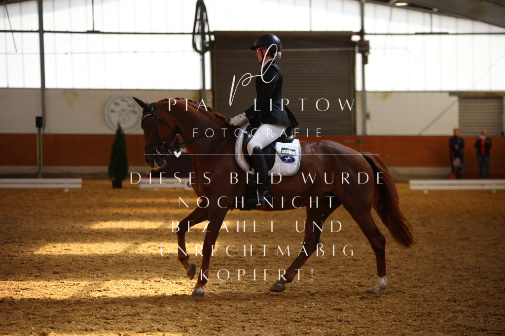 IMGT4732 | pl-fotografie