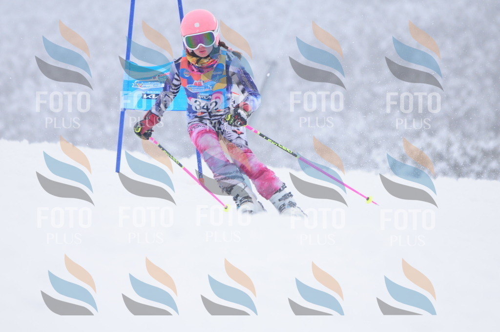 C3664 | holidayphoto