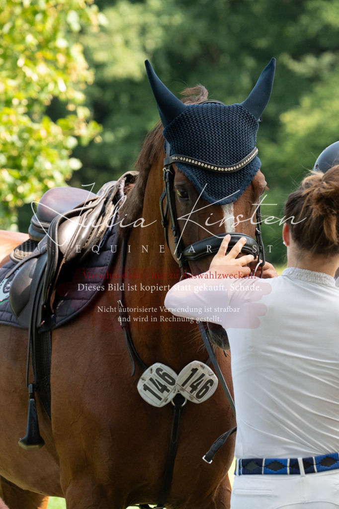 DSC_0664 | Pferde- und Turnierfotografie in Westsachsen. Pferdeportraits, Auftragszeichnungen und intuitive Kunst.